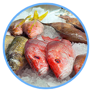 pescados