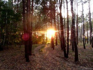 Otoño Puesta del sol